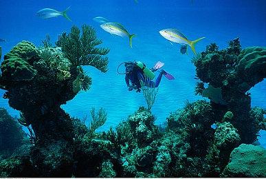 《刺客信条：代号Jade》新实机演示 卡珊德拉亮相